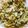 Shobha Deshmukh 's cooksnap of when they made BROCCOLI PULAO in COOKER.