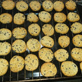 El cooksnap de Pedro C. cuando hizo Galletas de queso.