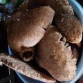 Csilla Kántor Cooksnap-ja, amikor elkészítette a(z) Őzlábgomba rántva receptet.