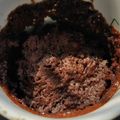 El cooksnap de ani cuando hizo Brownie en taza (en microondas).