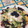 El cooksnap de Laura Cotter cuando hizo Pasta fresca con burrata al pesto.