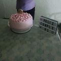 El cooksnap de Estela cuando hizo Decoración para torta o postre!!.