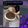 Cooksnap của Thu Dương khi họ làm theo món Castella chocolate
