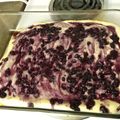 Karen's cooksnap of when they made *Blueberry Swirl Cheesecake Bars*.