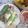 Cooksnap dari ajeng untuk resep Vietnamese Spring Roll dengan Saus Asam Pedas
