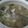 Cooksnap dari Trienza Ririn untuk resep Sup Ayam