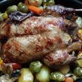 صورة من سوزان شوقي 💖💟، شاركها بعد تجربة وصفة دجاج بالكيس آلحراري 🐓