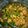 Cooksnap dari Rahma untuk resep Tumis kacang panjang tempe simple maknyuss