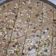 Hetal Siddhpura's cooksnap of when they made અડદિયા (Adadiya Recipe In Gujarati).