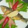Cooksnap dari Ayaa HuBBy untuk resep Otak - otak bandeng