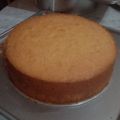 Cooksnap dari tesha melati untuk resep Bolu Tape