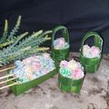 Cooksnap dari Siswaty Elfin Bachtiar untuk resep Macaron Metode French Meringue With Takir Anyaman Pandan