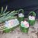 Cooksnap dari Siswaty Elfin Bachtiar untuk resep Macaron Metode French Meringue With Takir Anyaman Pandan