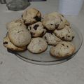 El cooksnap de Ana cejas cuando hizo Galletitas con chips de chocolate sin manteca | fran cocina.
