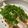 รูป Cooksnap ของ HaridK เมื่อเขาทำ ปลาทับทิมนึ่งซีอิ๊ว