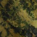 Cooksnap dari Azri Puspitaf untuk resep Mangut lele