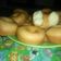 Cooksnap dari Dian untuk resep Donat water roux