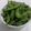 Lana Elzora's cooksnap of when they made Salted Edamame Bean.