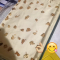Samanthar99's cooksnap of when they made Pay de limón con galleta y queso cremoso.