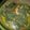 Cooksnap dari Cony Septiani untuk resep Gulai Daun Singkong