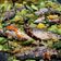 Cooksnap dari windy untuk resep Ikan Cue Cabe Ijo