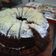 Cooksnap dari sandyawati untuk resep Brownies meizena kukus