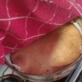 El cooksnap de Natalia cuando hizo Bizcochuelo de naranja.