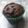 El cooksnap de Gabi M. Mangini cuando hizo Muffins de banana madura & choco en polvo.