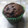 El cooksnap de Gabi M. Mangini cuando hizo Muffins de banana madura & choco en polvo.