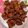 Cooksnap dari Vionita Julia Putri untuk resep Korean Spicy Chicken Breast with Fried Spinach
