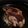 El cooksnap de Pirulina cuando hizo Bifé argentino.