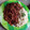 El cooksnap de Rayes cuando hizo Chili con frijoles (porotos) rojos y arroz yamaní integral.