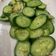 小媽簡單煮 的 蒜炒小黃瓜 cooksnap