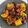 Cooksnap dari Suci Widya untuk resep Cumi Jagung Saos Padang