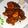 Cooksnap dari Riyuna untuk resep Ayam Kecap