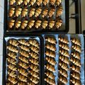 Szagcsi Cooksnap-ja, amikor elkészítette a(z) Rugelach recept (csokoládés) receptet.
