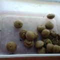 Cooksnap dari Oyie Noerkhoiri untuk resep Kue Cubit Sederhana 