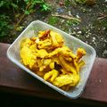 Cooksnap dari Annisa sr untuk resep Ayam Ungkep