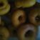 Cooksnap dari nita minerva untuk resep Donat ubi empuk menul