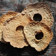 il Ilovecookingathome quando ha preparato Pane svedese - knäckebröd