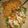 Maryam Ahmad's cooksnap of when they made Chef's salad.