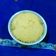 Cooksnap dari Jasmin Kania untuk resep Bolu tape panggang no mixer