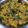 વિદ્યા હલવાવાલા's cooksnap of when they made રીંગણ નો ઓળો (Ringan Oro Recipe In Gujarati).