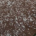 Cooksnap dari Nurul Alamanda untuk resep Puding Terapung Coklat Yummy