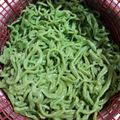 Cooksnap dari hexa untuk resep Mie Sehat Tanpa Pengawet