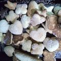 El cooksnap de Jesica Riccioni cuando hizo Avena ¡Cookies sencillas!.