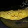 Cooksnap dari Lia Siti Amalia untuk resep Papeda/telor gulung aci