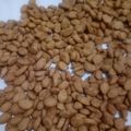 Cooksnap dari Fitriani Ajah untuk resep Biji Ketapang