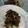 Cooksnap Alya Yasmin semasa beliau membuat Healthy Meal | Beef Broccoli Stir-fry.