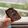 El cooksnap de M Consuelo Martinez cuando hizo Brownie fácil y rápido.